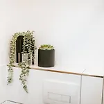 Apartment Staylight City-loft, Privater Parkplatz, Nähe Zur Messe Und Der City, Premium *