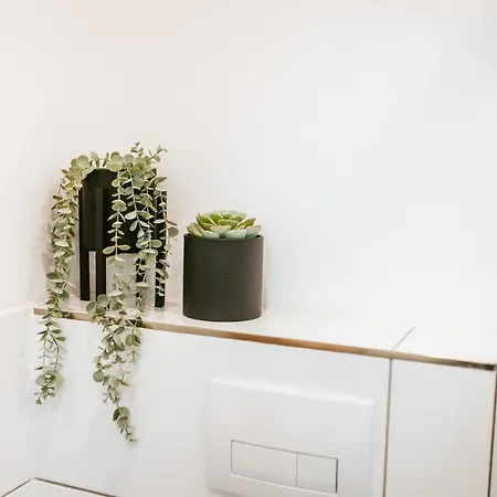 Daire Staylight City-loft, Privater Parkplatz, Naehe Zur Messe Und Der City, Premium *